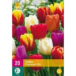 Mélange de tulipes Triumph (20 pièces)