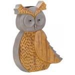 Woody le hibou lumineux