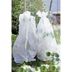 Toile de protection pour les tomates