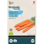 Carottes d'hiver Berlikum 2 BIO