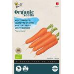 Carottes d'hiver Flakkese BIO