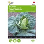 Chou cabus blanc Express - Brassica oleracea