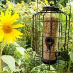 Silo pour graines pour petits oiseaux