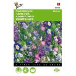 Melange de fleurs bleues - Summerflowers, annual mixture