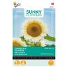 Buzzy Seeds tournesol White Sun F1