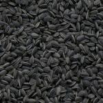 Graines de tournesol noires et rayées - 3kg